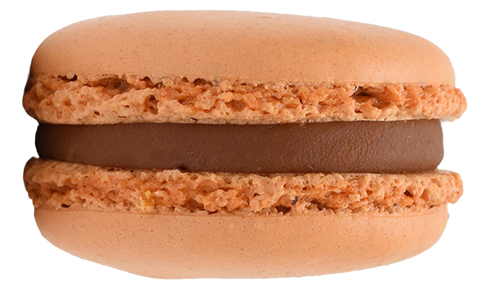Salted Caramel Macaron