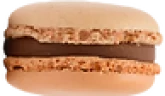 Pecan Nut Pecan Nut
