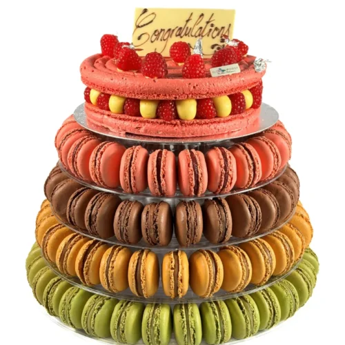 Lower Tiers Macaron Tower & its Cake (112 macarons) C&C