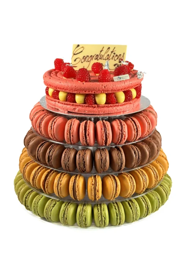 Lower Tiers Macaron Tower & its Cake (112 macarons) C&C